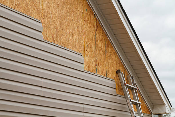 Best Custom Trim and Detailing for Siding  in Chapman, KS